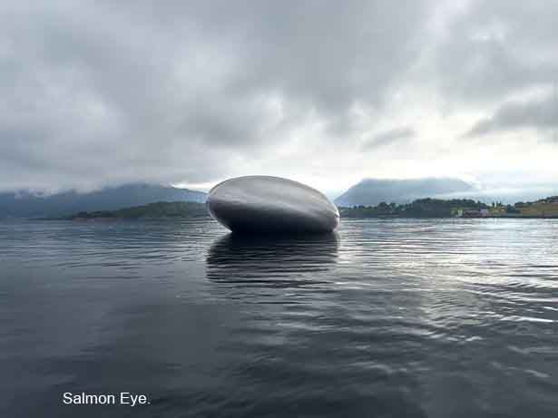 Barcos elétricos transportarão os visitantes para o Salmon Eye.