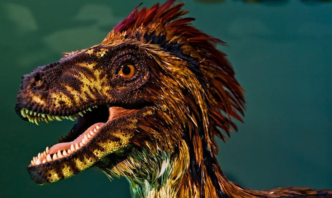 Dinossauros pareciam galinhas gigantes, não lagartos, mostram evidências