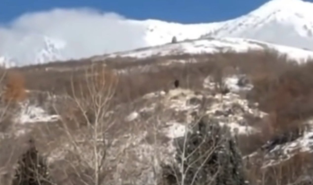 'Bigfoot' capturado na câmera perto de Provo em imagens ressurgidas