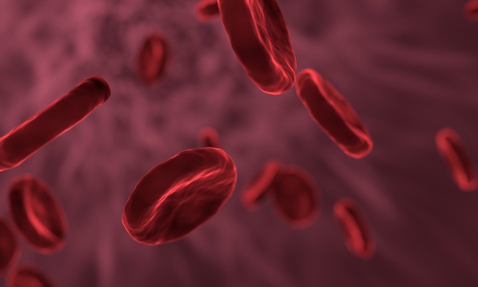 Pela primeira vez na história humana, sangue artificial foi transfundido