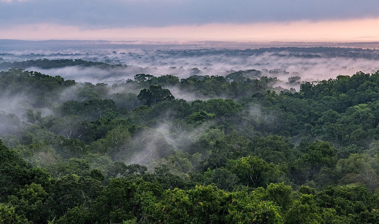 Civilização maia de 2.000 anos é descoberta na Guatemala