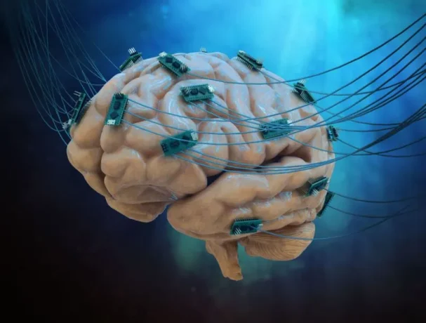 Neuralink começará a testar chips cerebrais em humanos em seis meses
