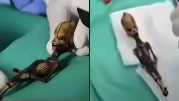 Esqueleto 'alienígena' de seis polegadas tem mistério resolvido