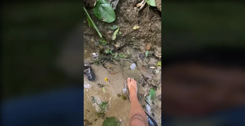 Brasileiro encontra pegadas gigantes durante trilha na floresta