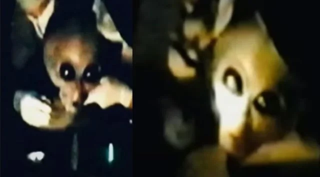 Investigação do vídeo de interrogatório do Alien Grey de 1996
