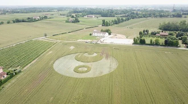 Crop Circle encontrado na Itália