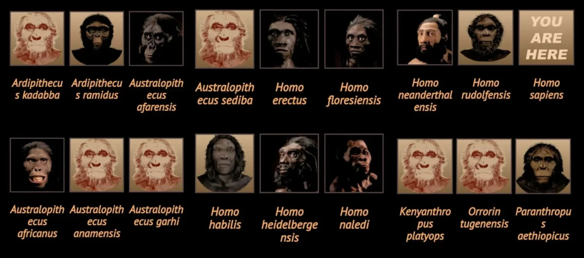 21 espécies humanas