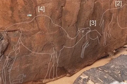 Camelos esculpidos em pedra encontrados na Arábia Saudita