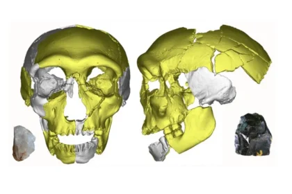 Crânio encontrado na China sugere nova linhagem humana