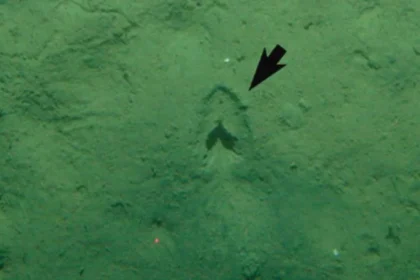 Mistério das pegadas no fundo do mar resolvido