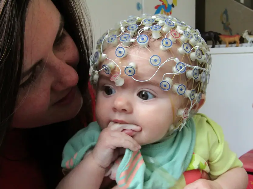 Bebês de Quatro Meses Demonstram Consciência Multissensorial