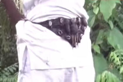 Nigeriano Morre ao Testar Talismã Supostamente à Prova de Balas 1