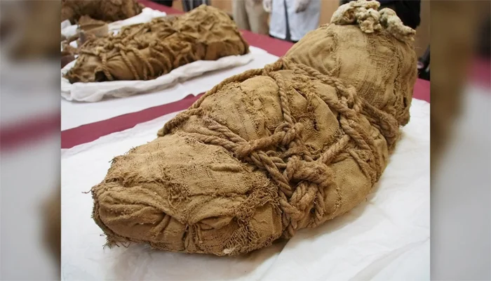 Arqueólogos descobriram 22 múmias embrulhadas no Peru