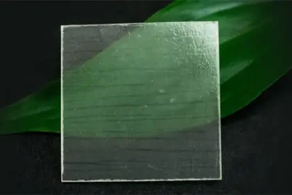 Os cientistas estão produzindo madeira transparente