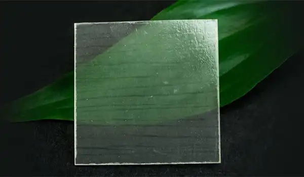 Os cientistas estão produzindo madeira transparente