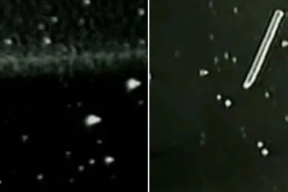 Vida baseada em plasma. Fenômenos de plasma na termosfera: A missão STS-80 (à esquerda) filmou centenas de plasmas brilhantes em forma de cone e nuvem (com um núcleo interno) 320 km acima de uma tempestade. Na missão STS-75 (à direita), entidades semelhantes a plasma de até 1 km de tamanho foram capturadas movendo-se e circundando o fio eletricamente carregado na termosfera da Terra.