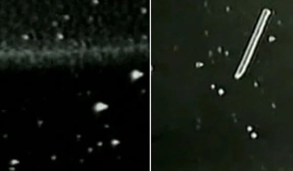 Vida baseada em plasma. Fenômenos de plasma na termosfera: A missão STS-80 (à esquerda) filmou centenas de plasmas brilhantes em forma de cone e nuvem (com um núcleo interno) 320 km acima de uma tempestade. Na missão STS-75 (à direita), entidades semelhantes a plasma de até 1 km de tamanho foram capturadas movendo-se e circundando o fio eletricamente carregado na termosfera da Terra.