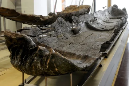 Canoas de 7 mil anos indicam tecnologia náutica neolítica