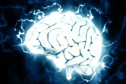 Ondas cerebrais: Direções distintas para memória e recordação