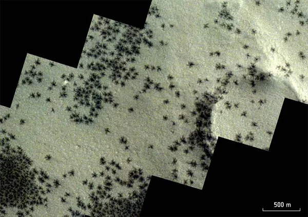 Aranhas fotografadas em Marte